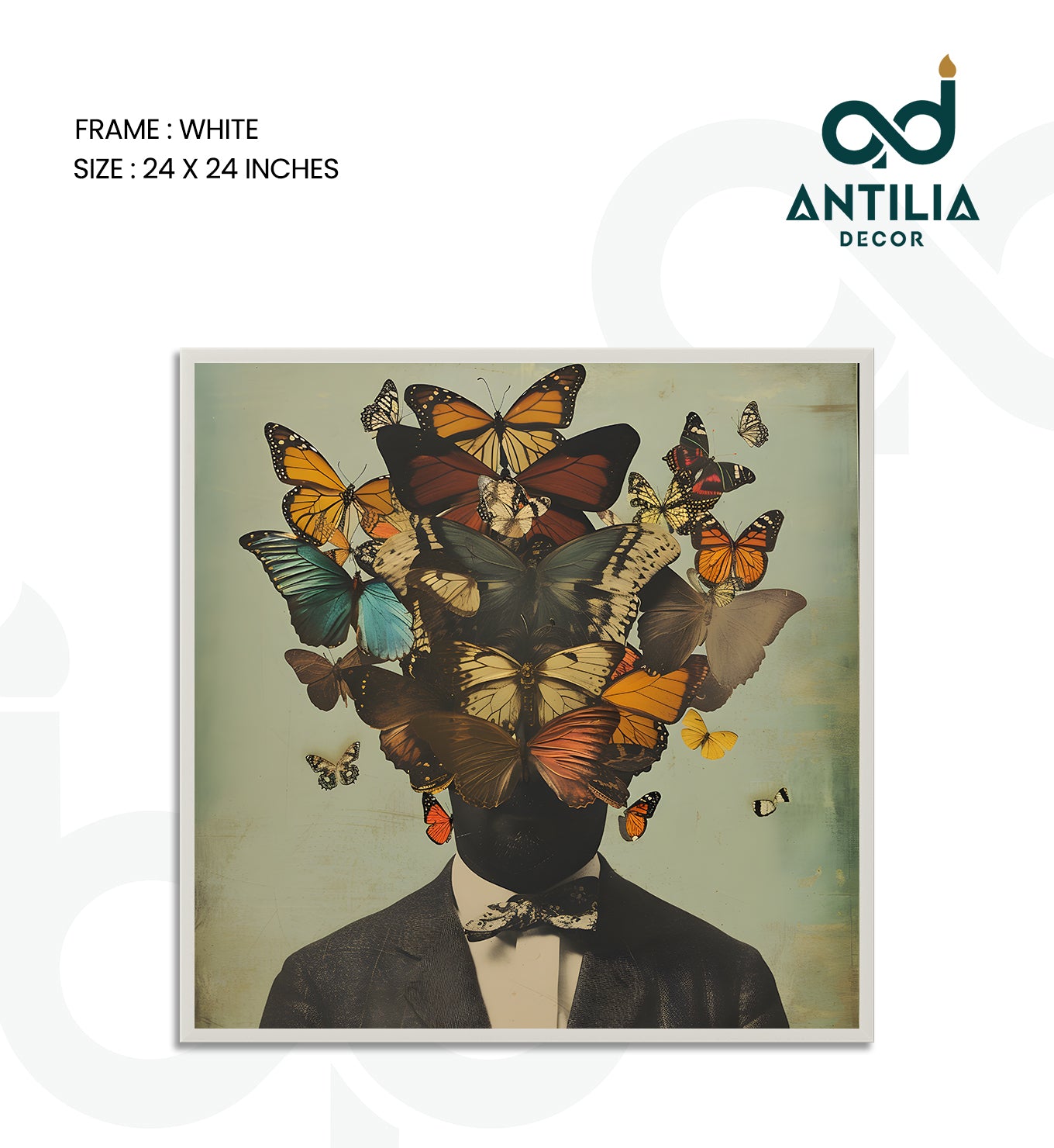 The Metamorphosis Gentleman