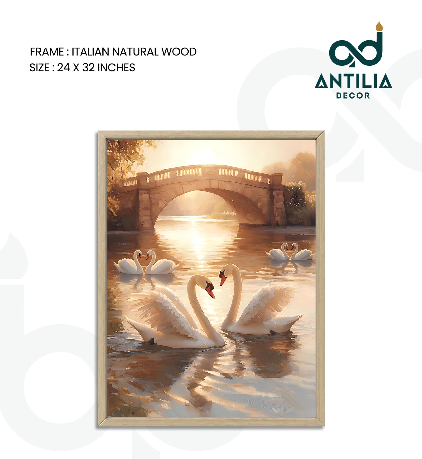 Swans- Arch of Grace