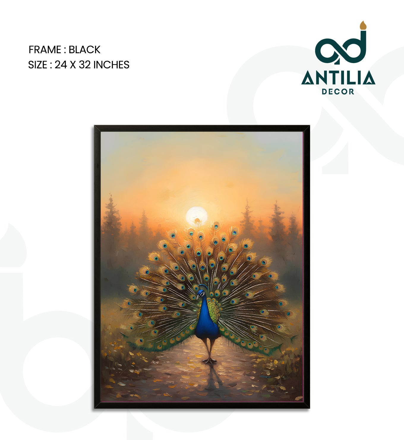 Peacock- Sunlit Display