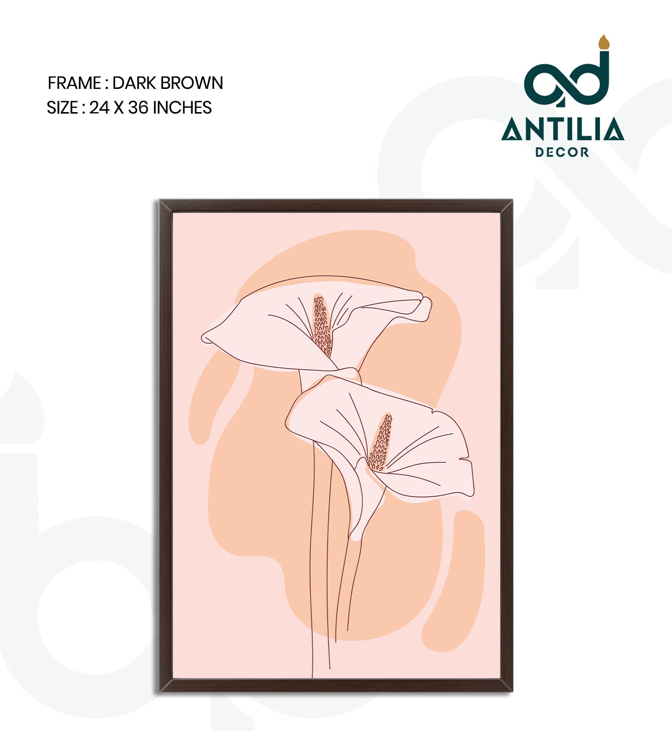Blushing Calla
