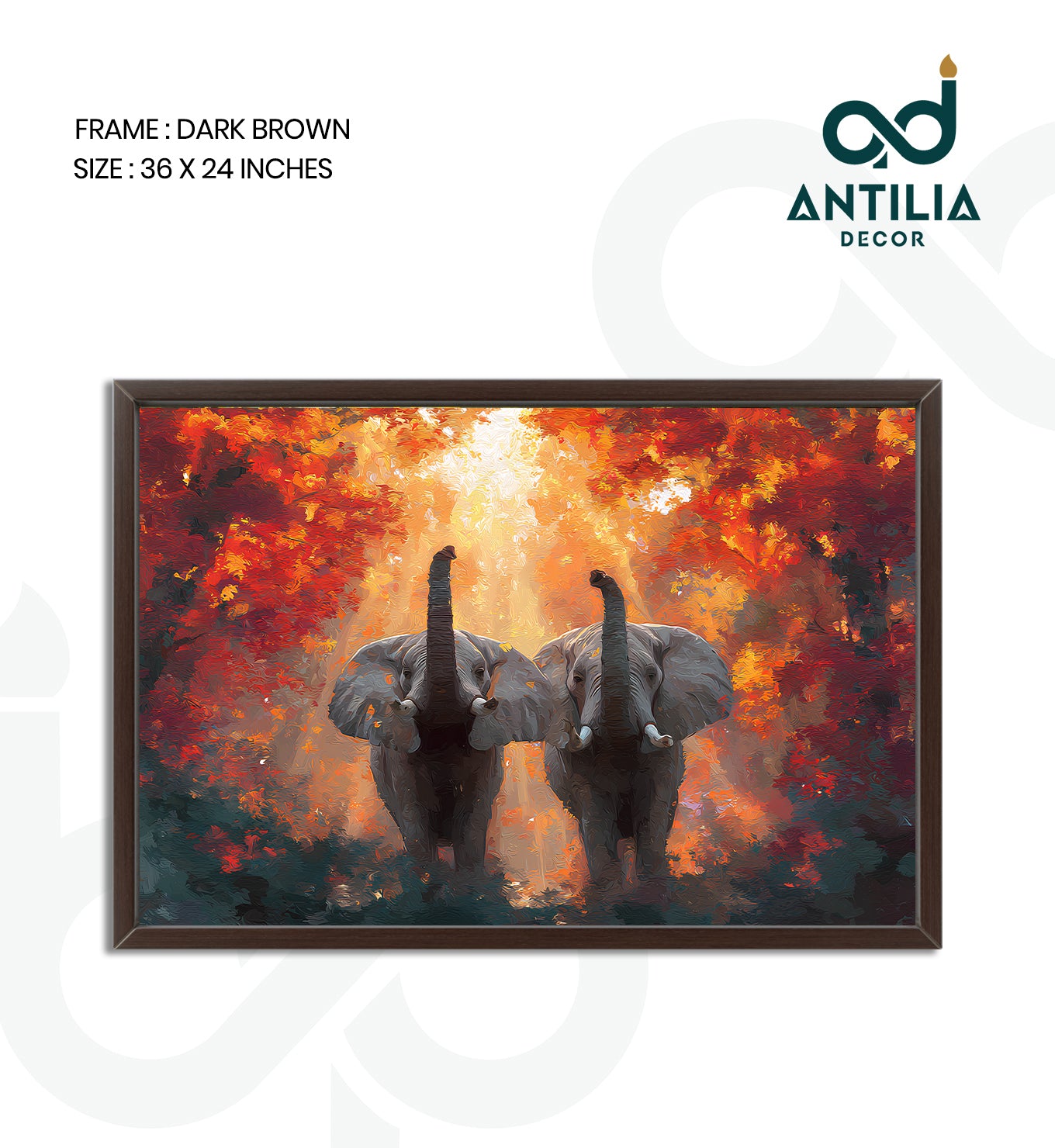 Elephants-Guardians of the Forest