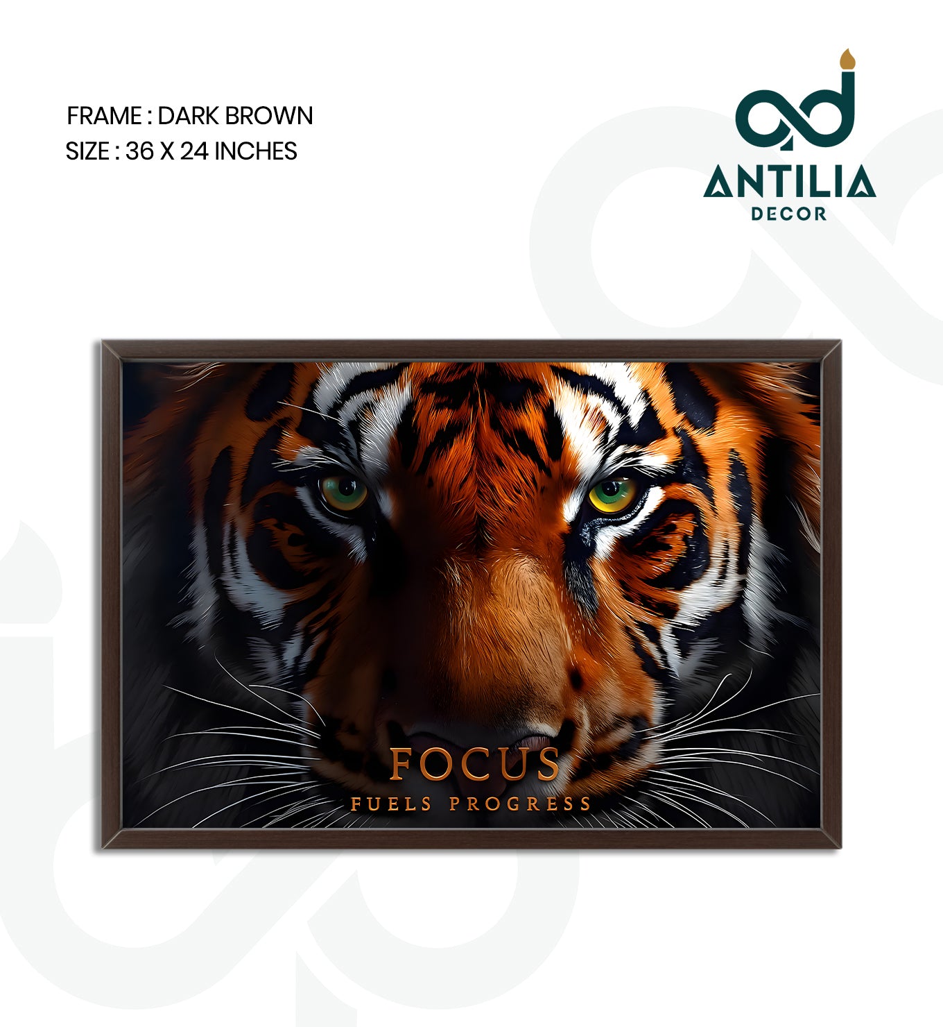 Focus fuels progress