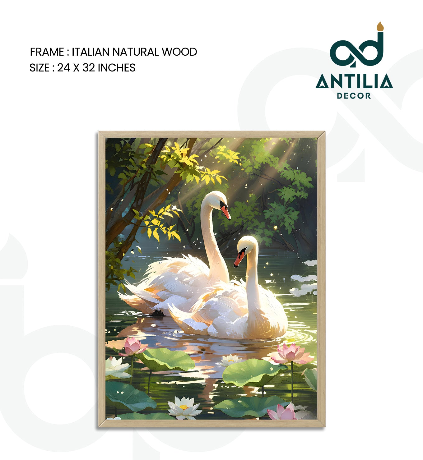 Swans- Lotus Pool Romance