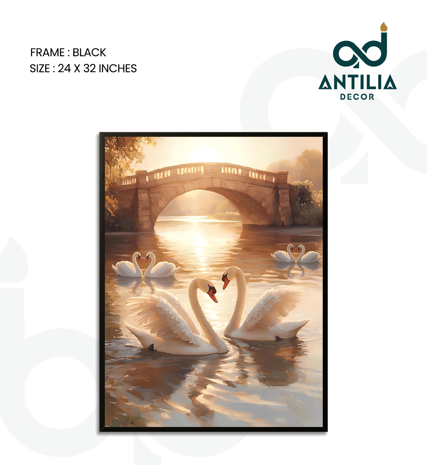 Swans- Arch of Grace