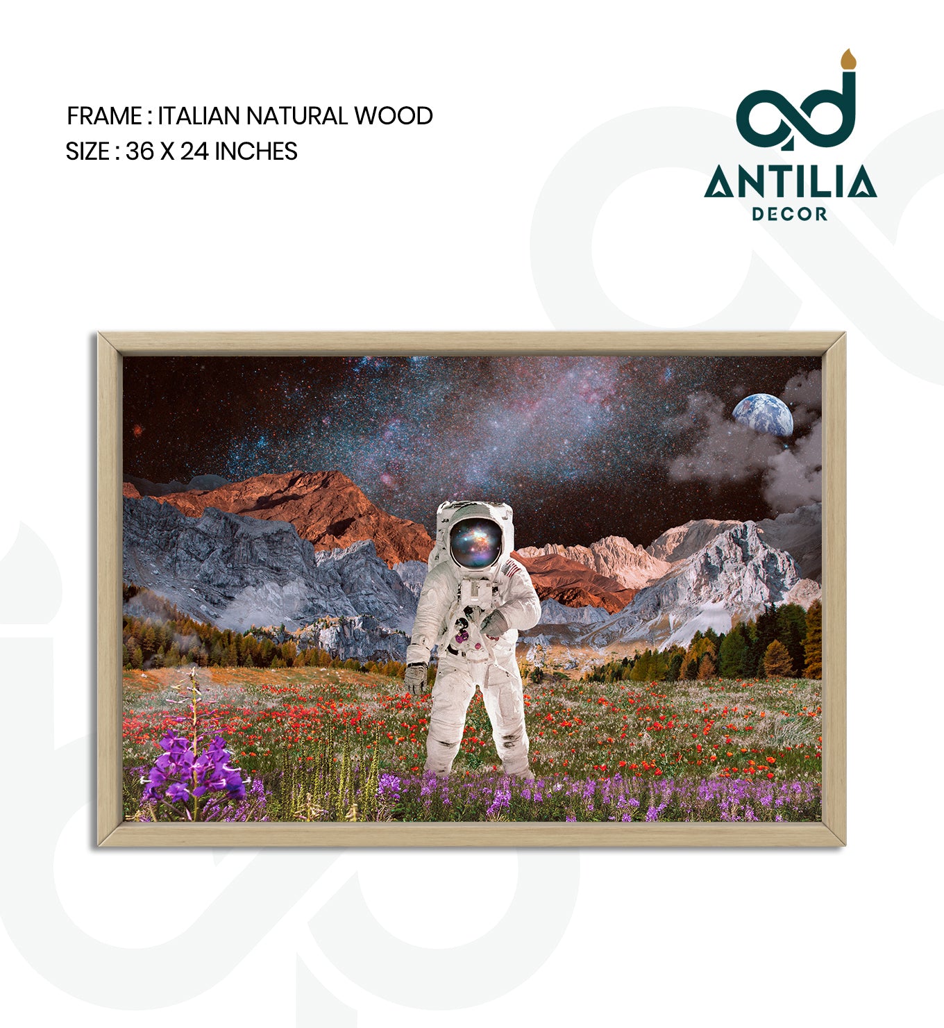 Astronaut&