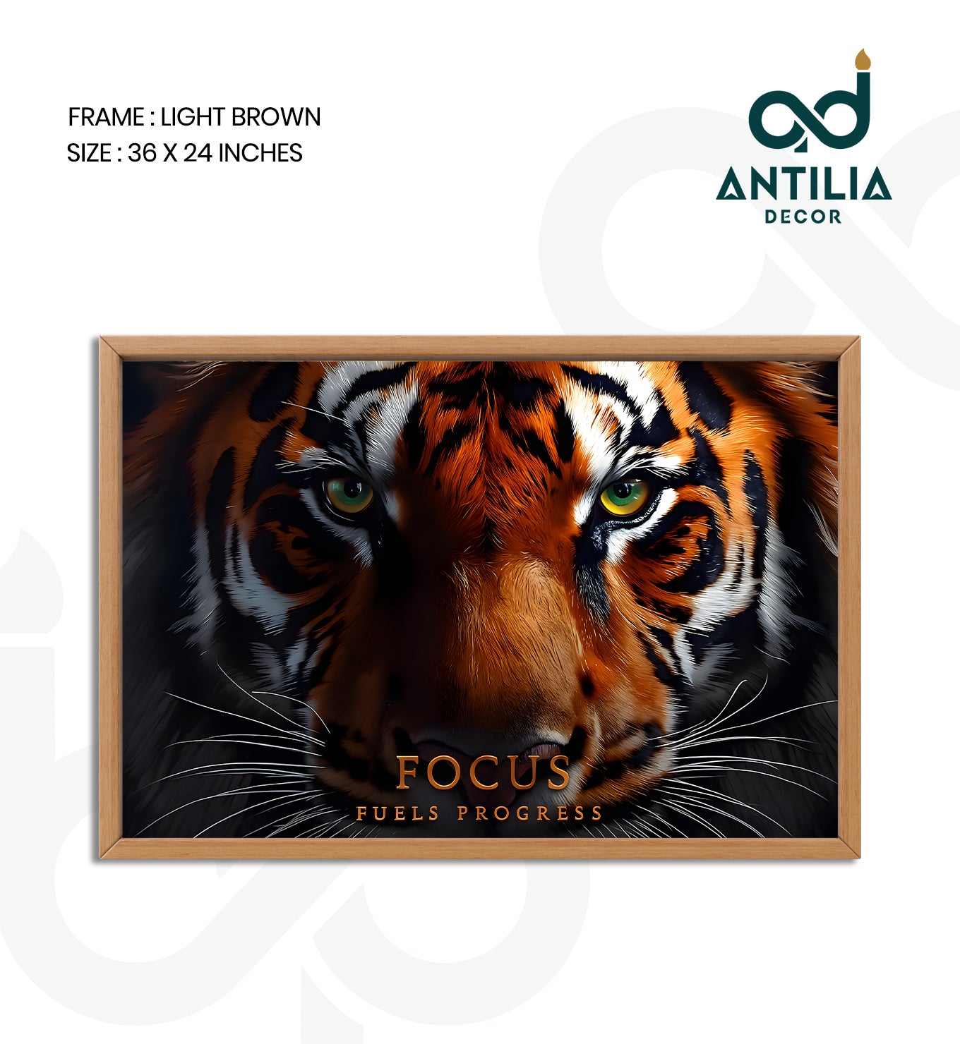 Focus fuels progress