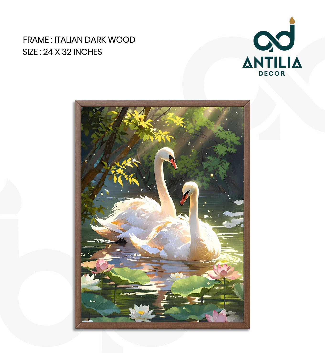 Swans- Lotus Pool Romance