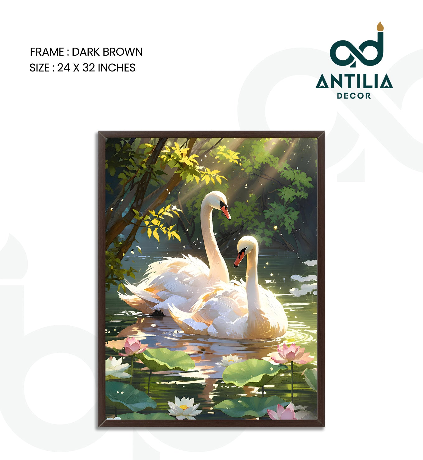 Swans- Lotus Pool Romance