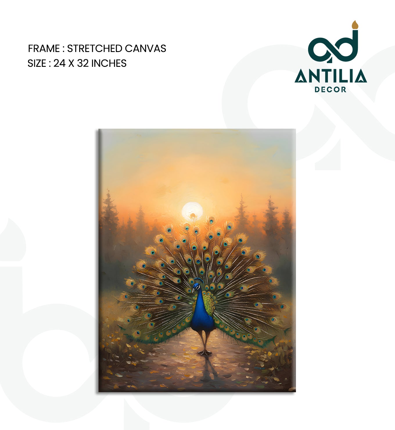 Peacock- Sunlit Display