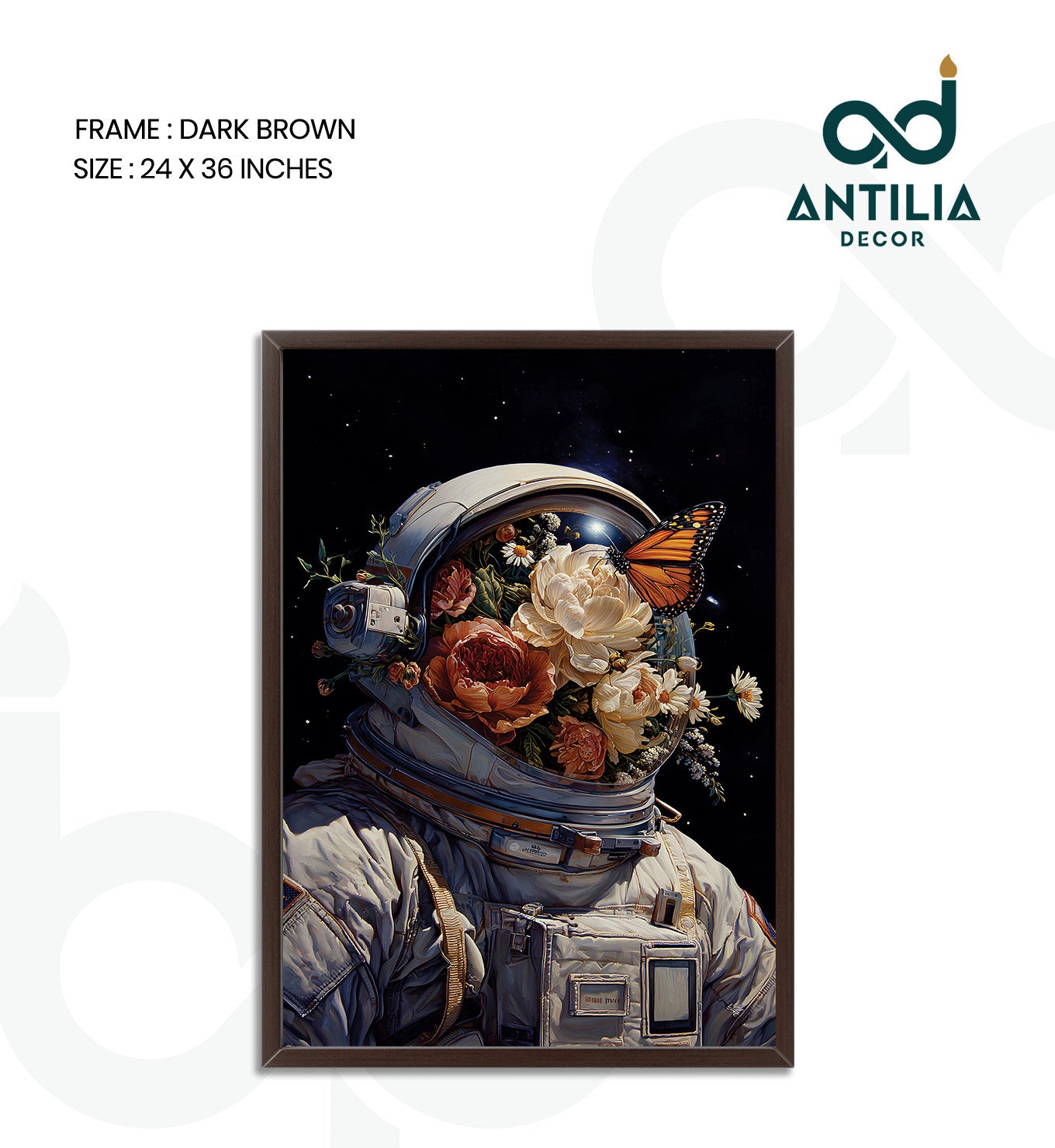 Journey of Discovery