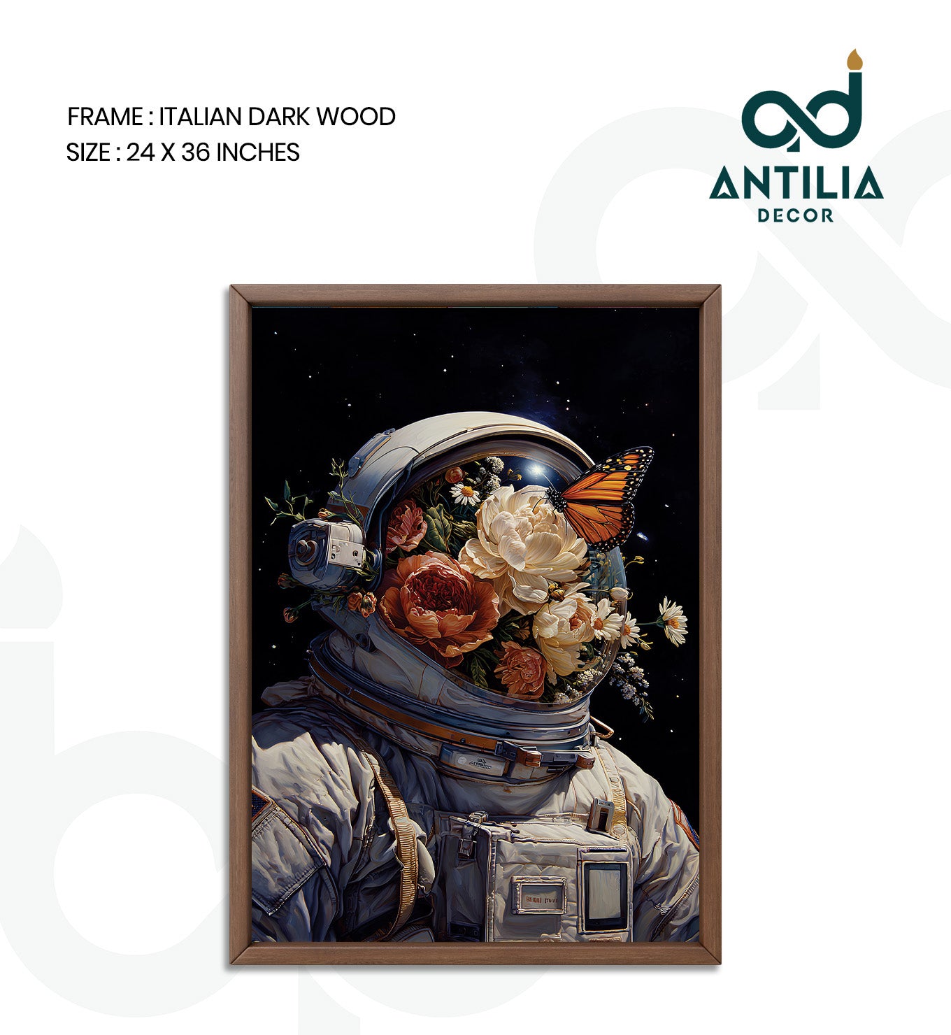 Journey of Discovery