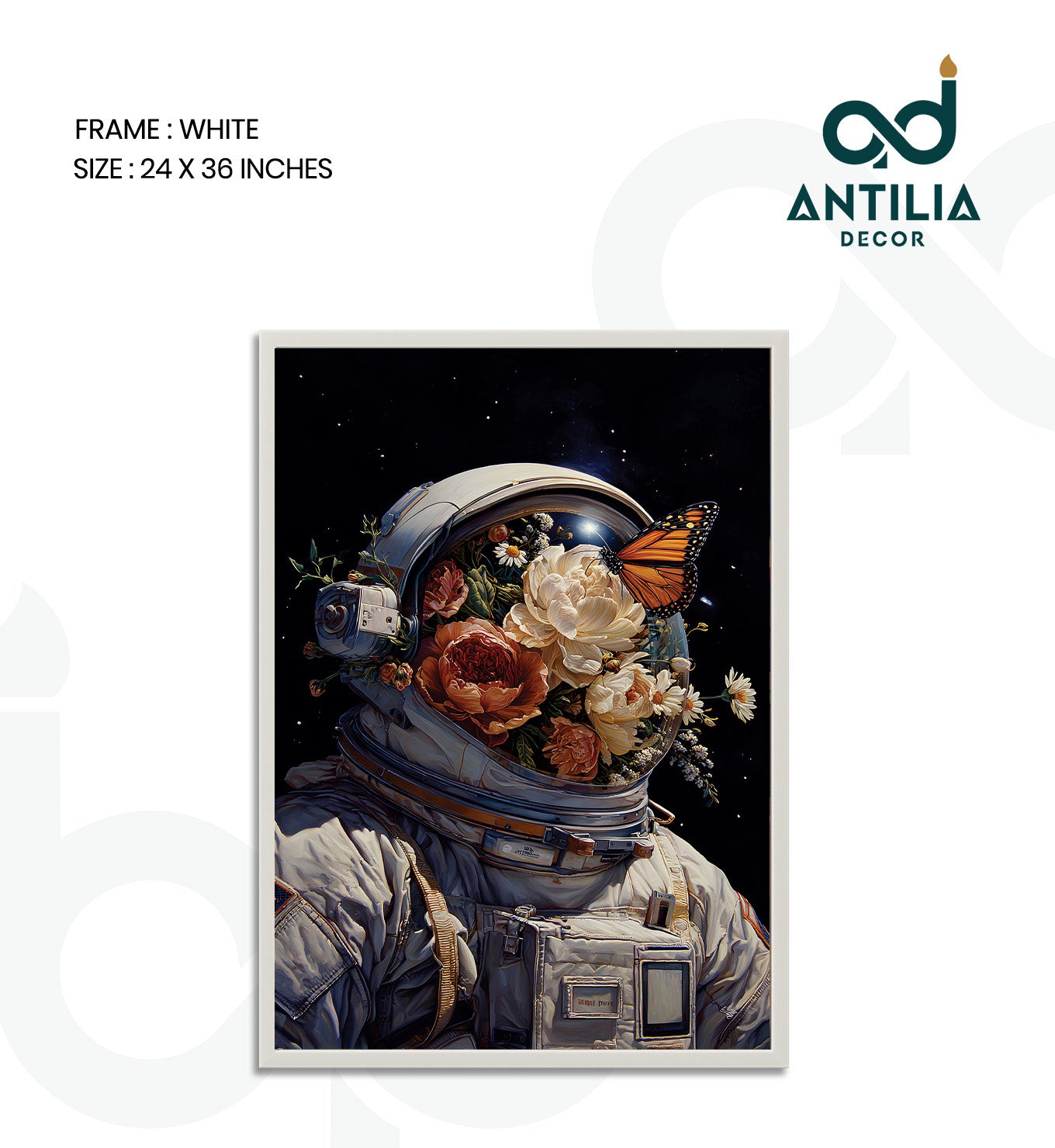 Journey of Discovery