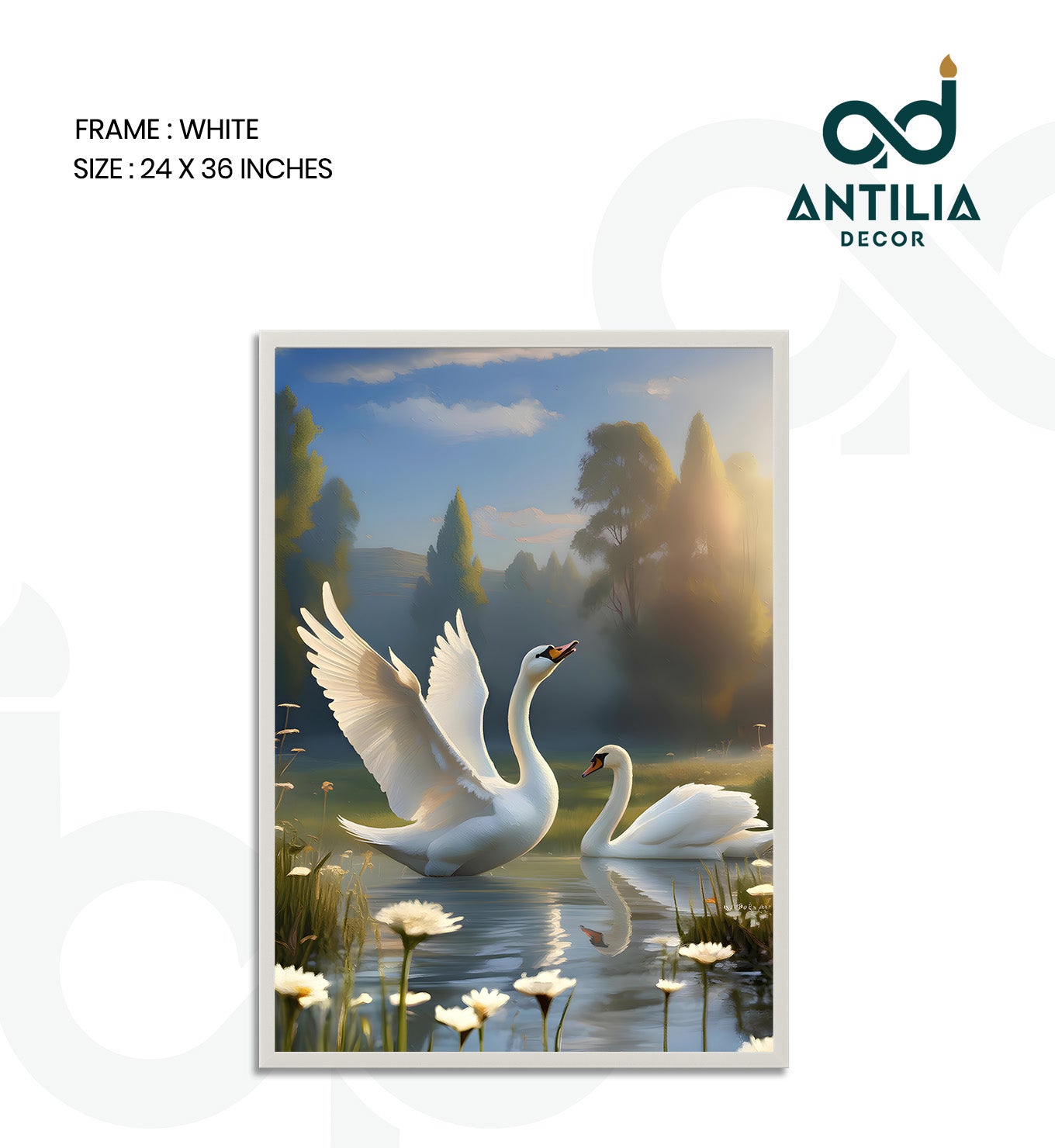 Swans- Graceful Ascent