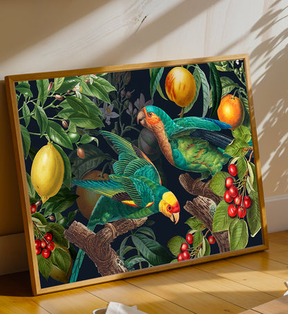 Parrot Paradise