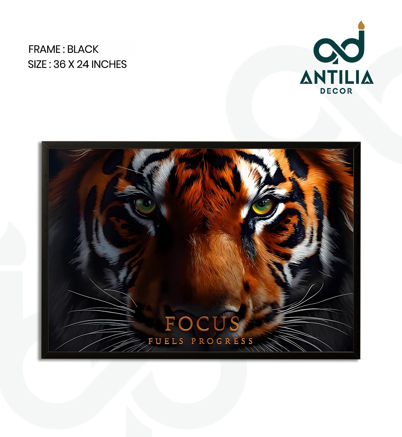 Focus fuels progress