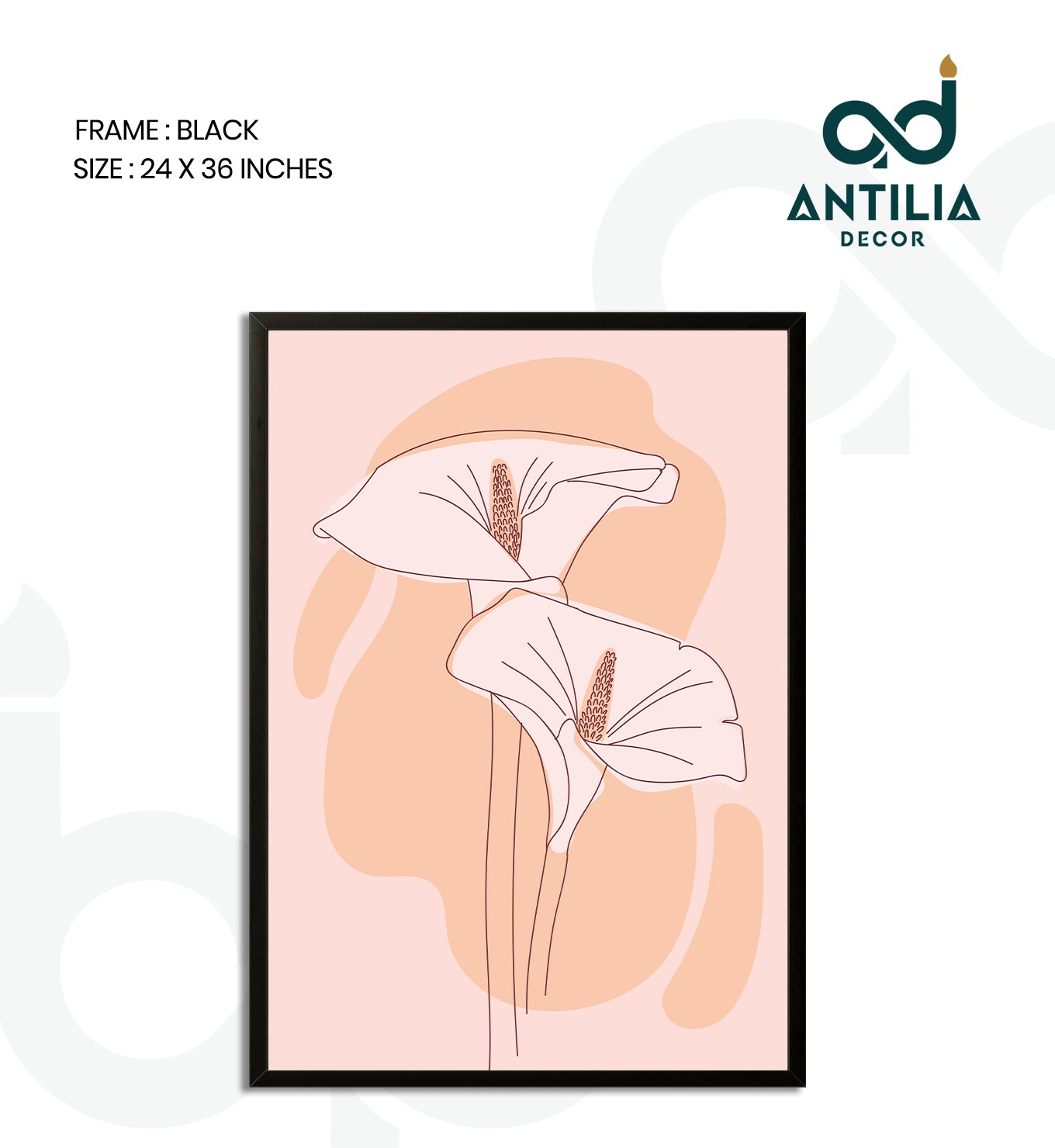 Blushing Calla