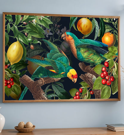 Parrot Paradise