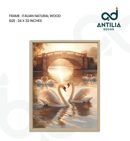 Swans- Arch of Grace