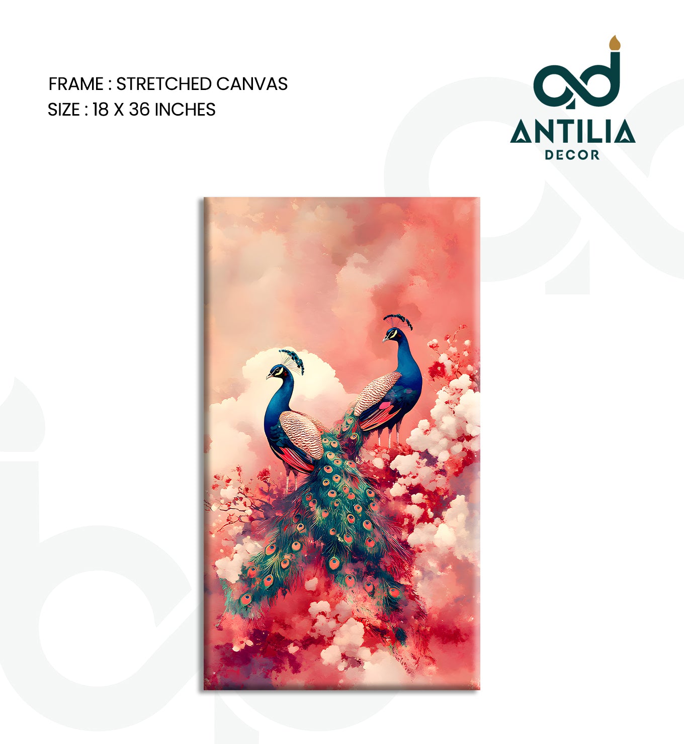 Peacock- The Mating Ritual