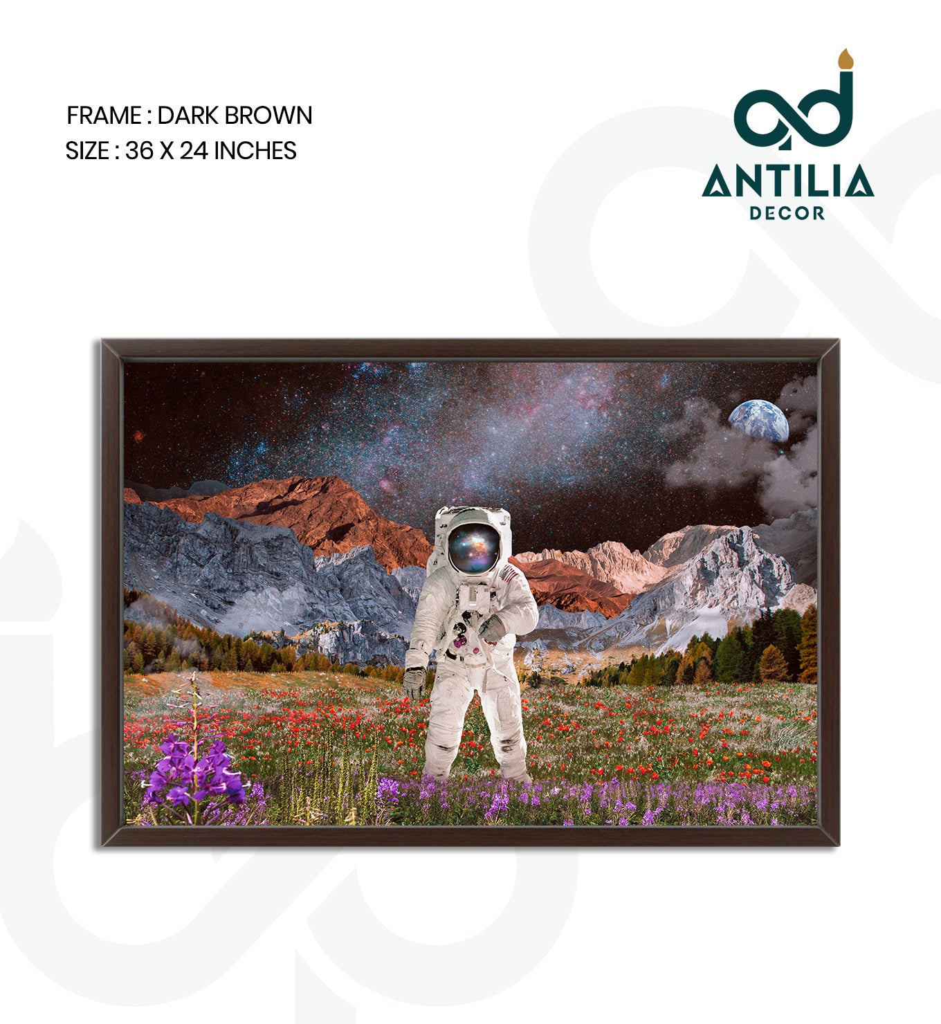 Astronaut&