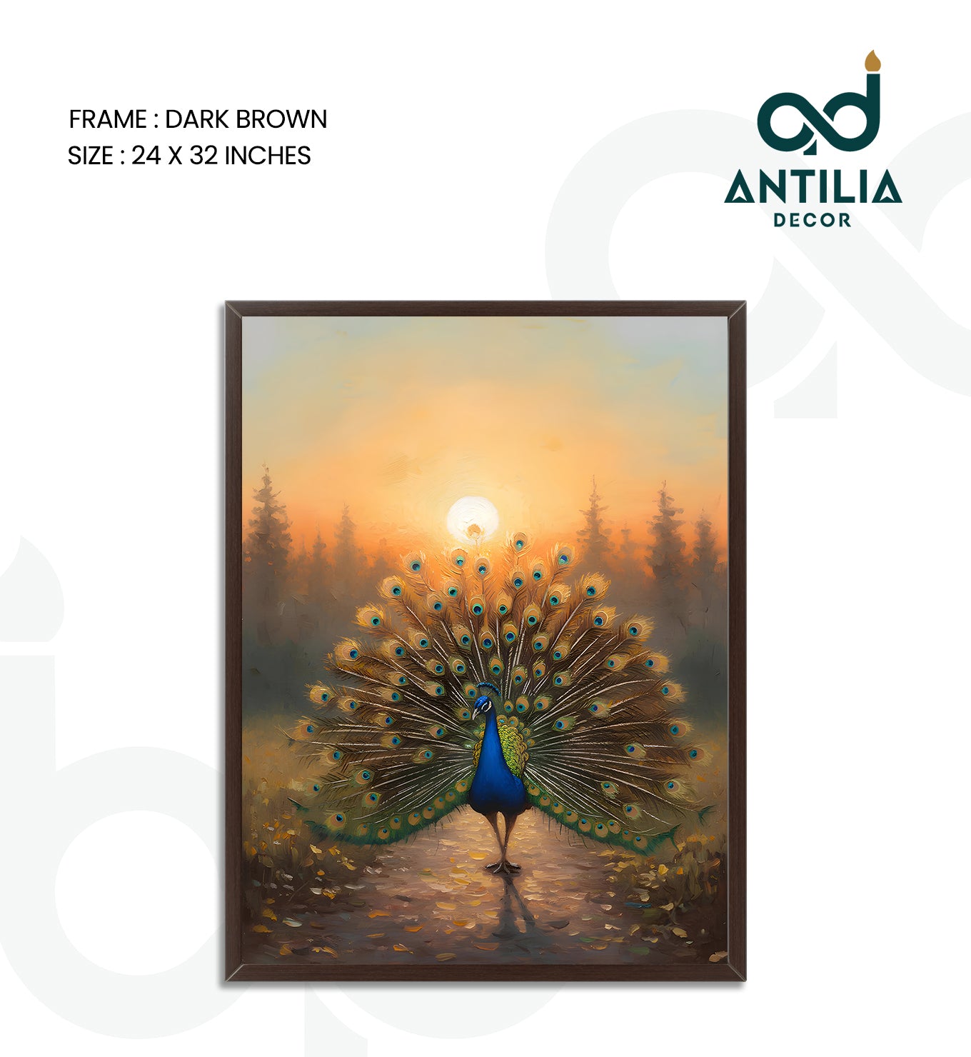 Peacock- Sunlit Display