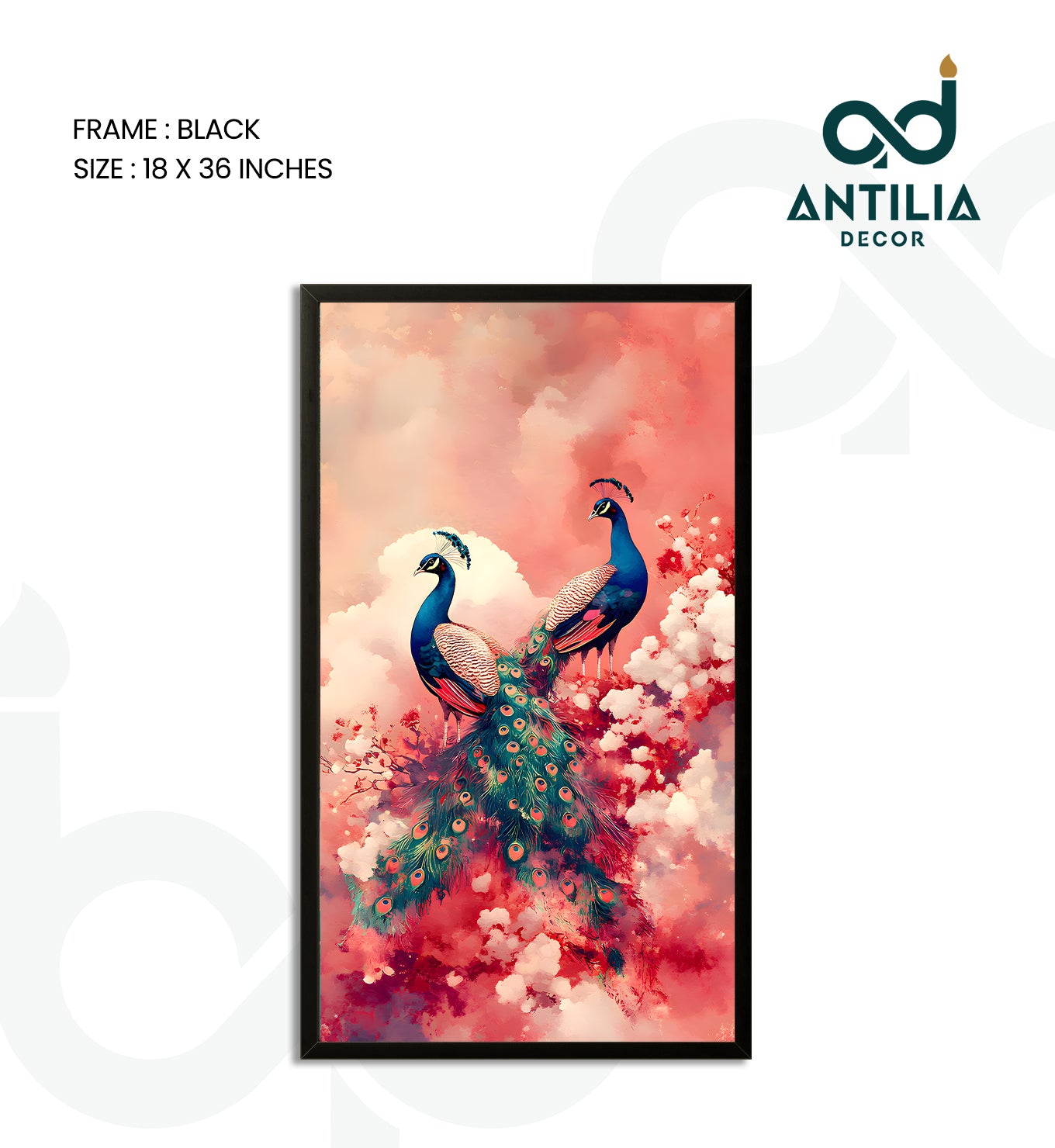 Peacock- The Mating Ritual