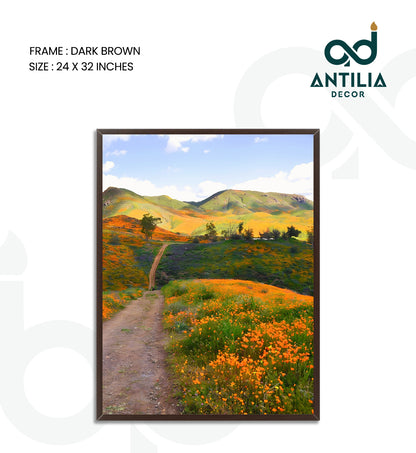 California Superbloom