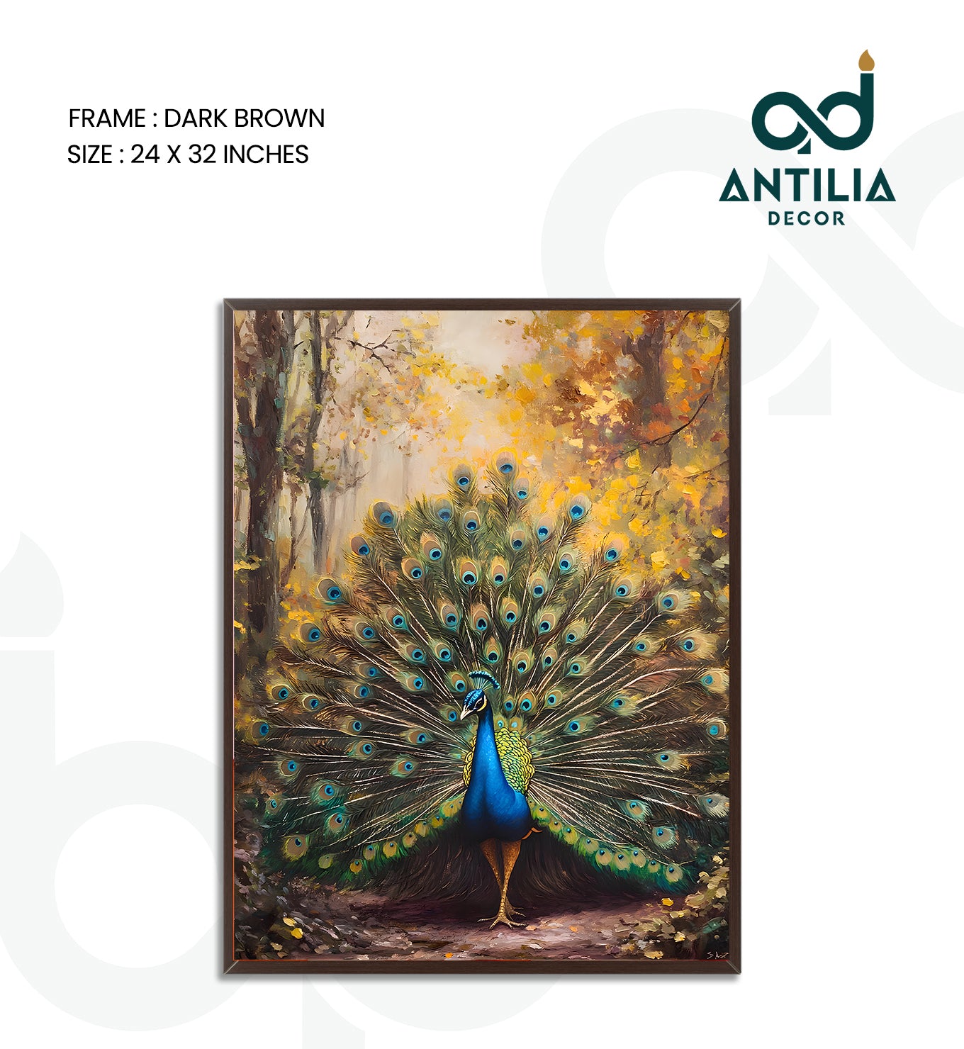 Peacock- Radiant Display