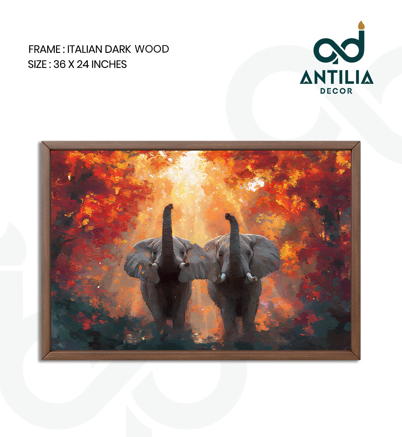 Elephants-Guardians of the Forest