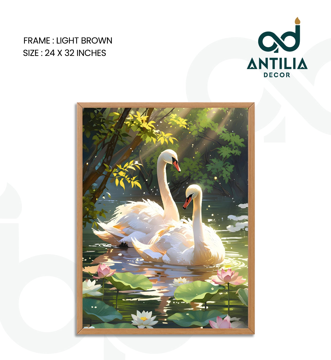 Swans- Lotus Pool Romance