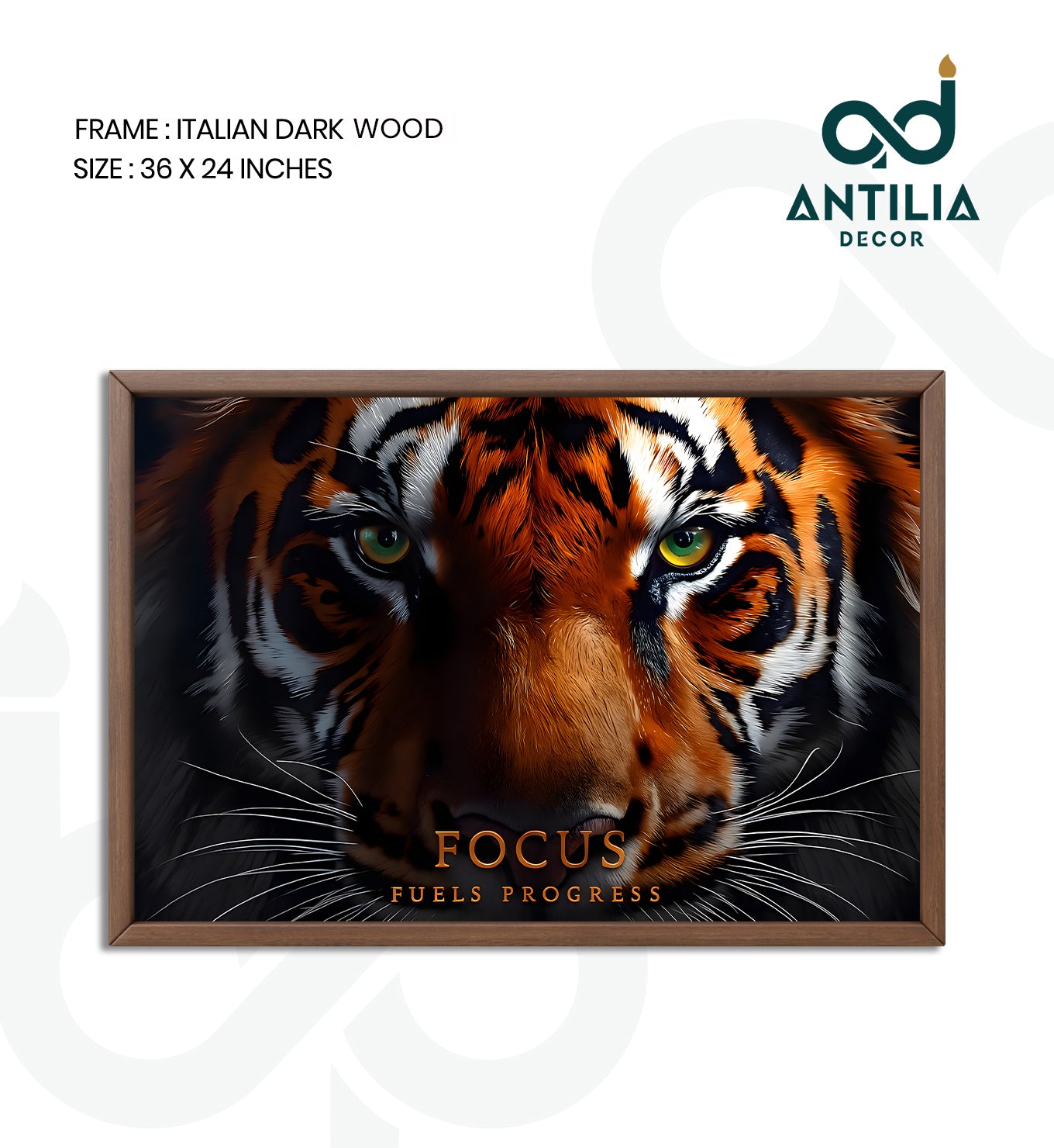 Focus fuels progress