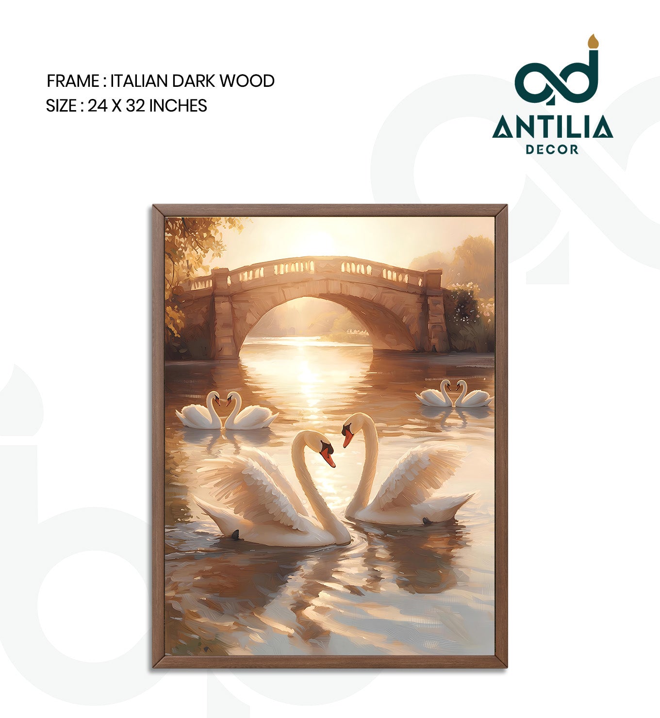 Swans- Arch of Grace