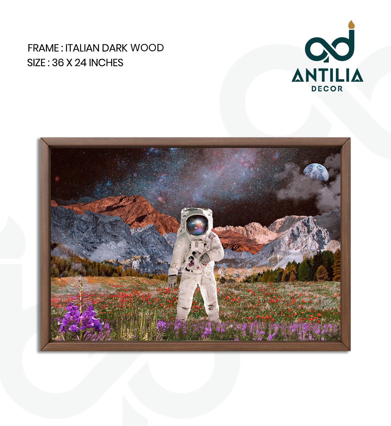 Astronaut&