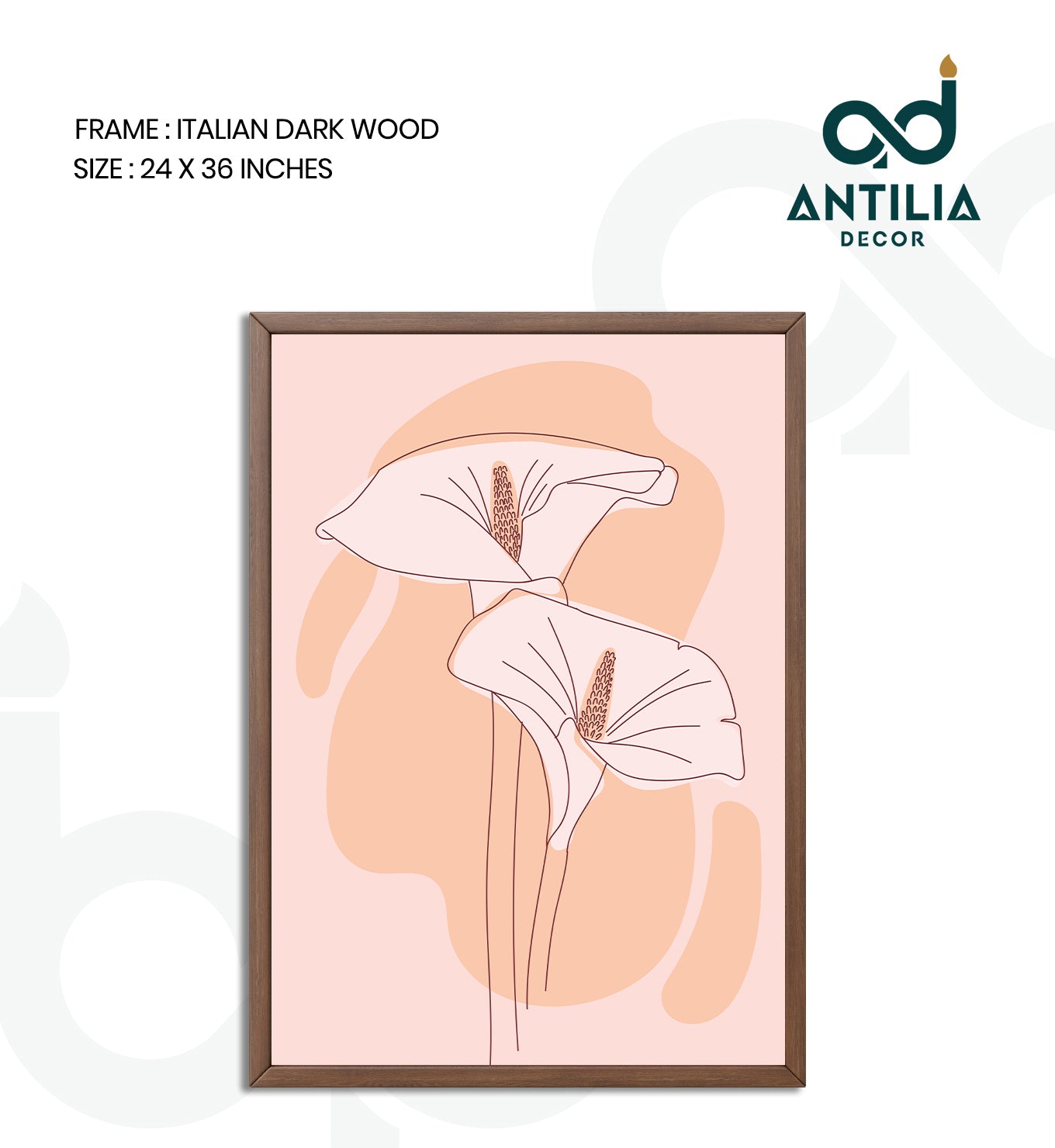 Blushing Calla