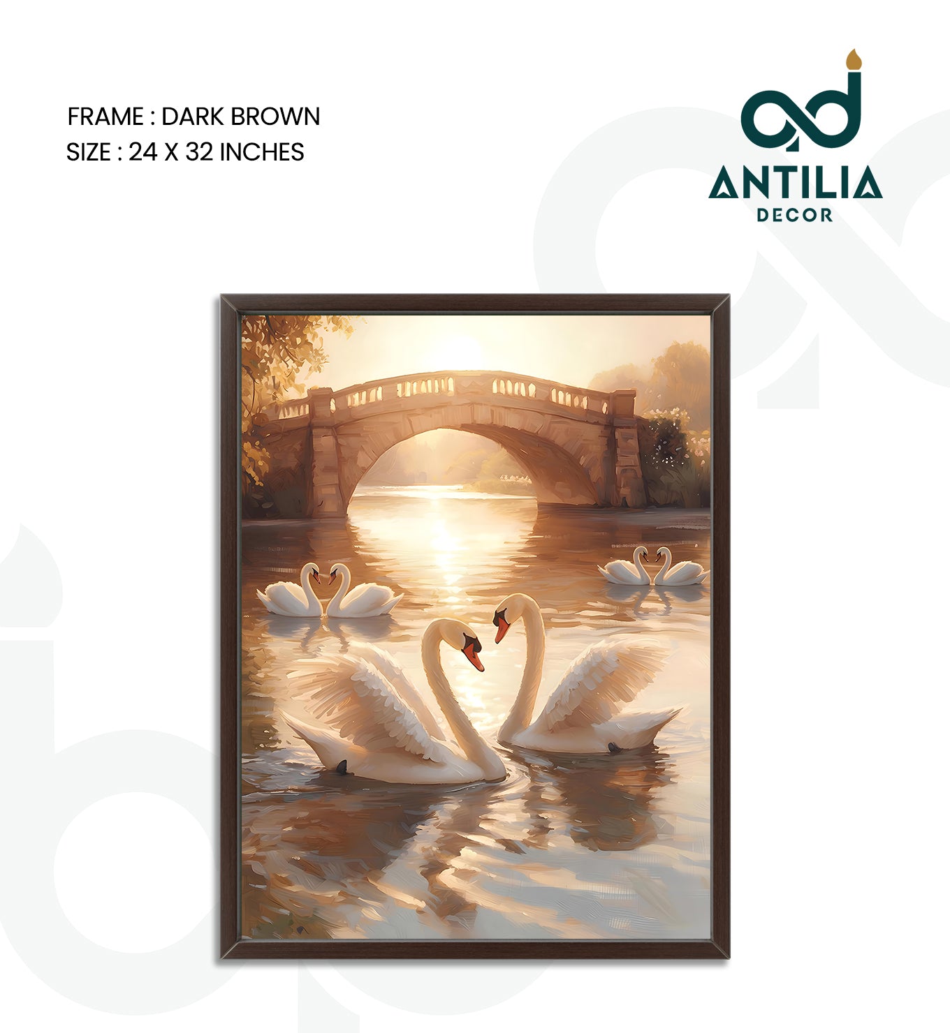 Swans- Arch of Grace