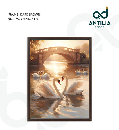 Swans- Arch of Grace