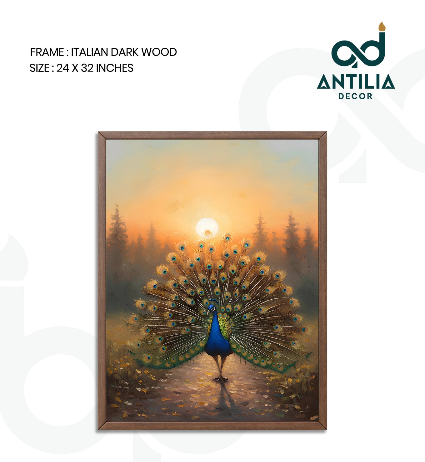 Peacock- Sunlit Display