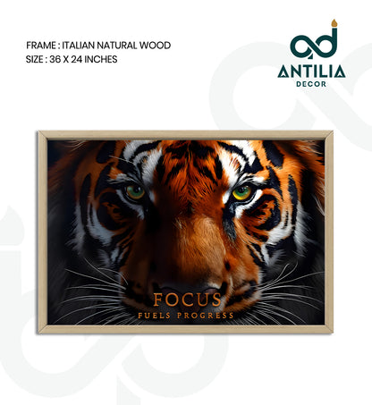 Focus fuels progress