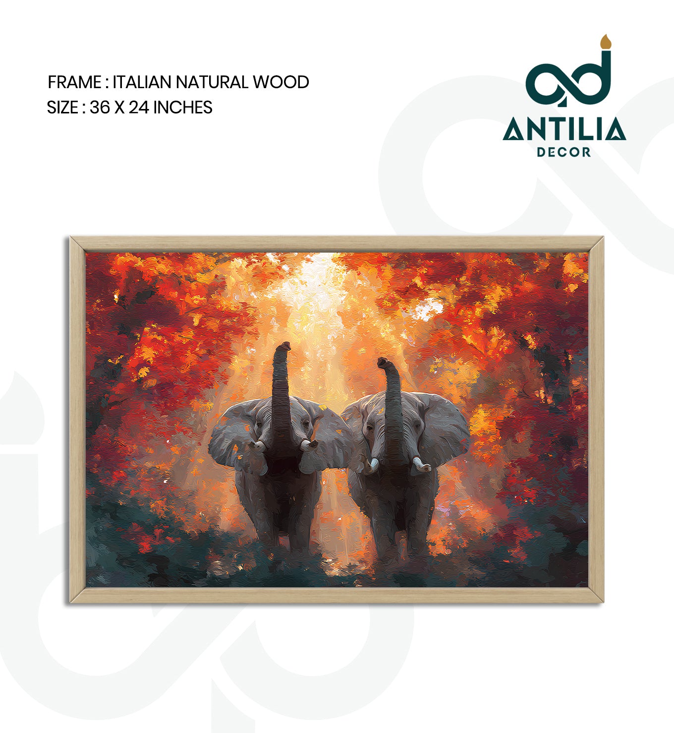 Elephants-Guardians of the Forest