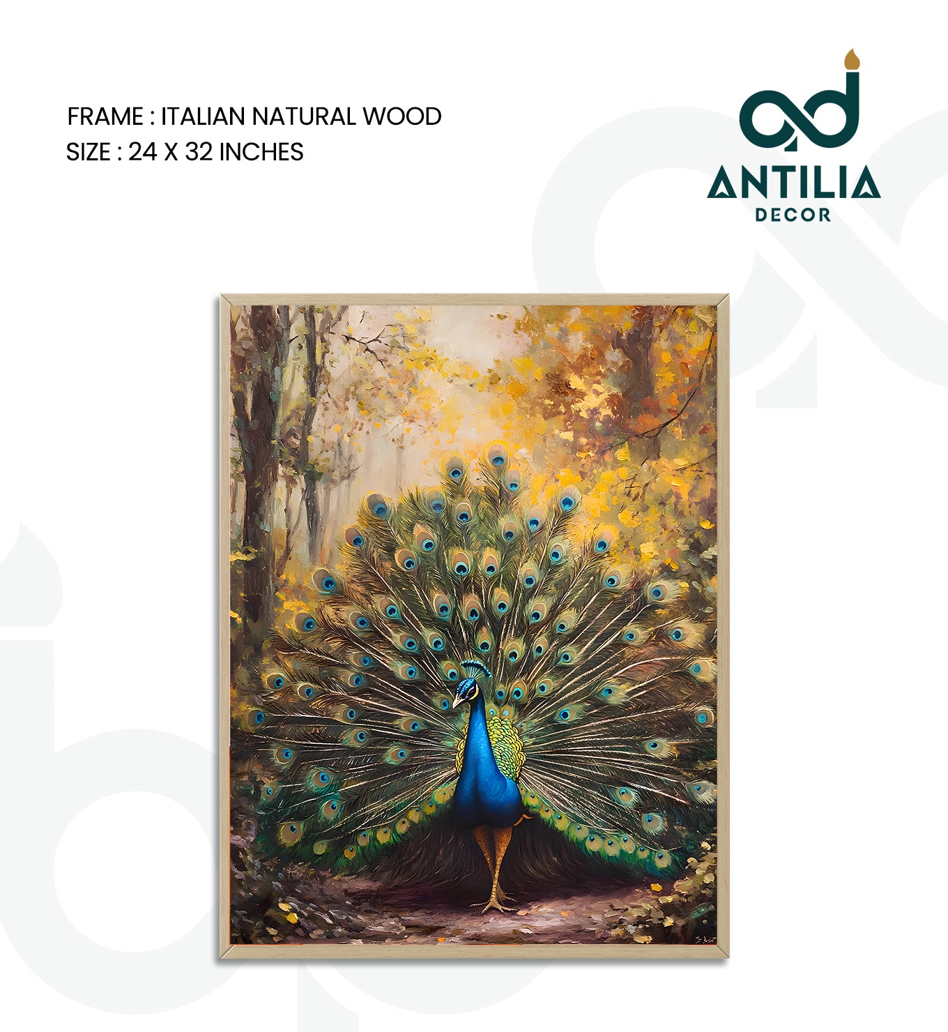 Peacock- Radiant Display