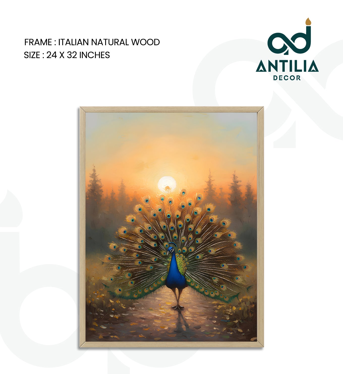 Peacock- Sunlit Display