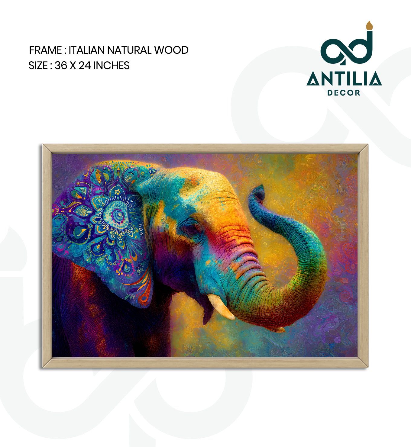 Elephants-The Painted Trunk