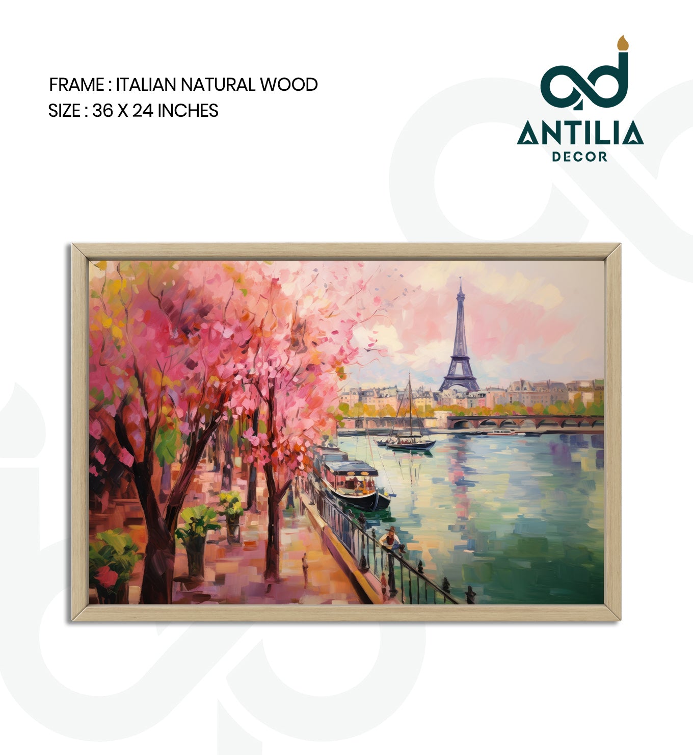 Cherry Blossoms of Paris