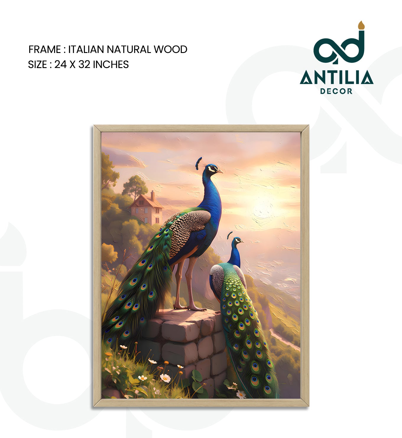 Peacock- Palace of the Sun