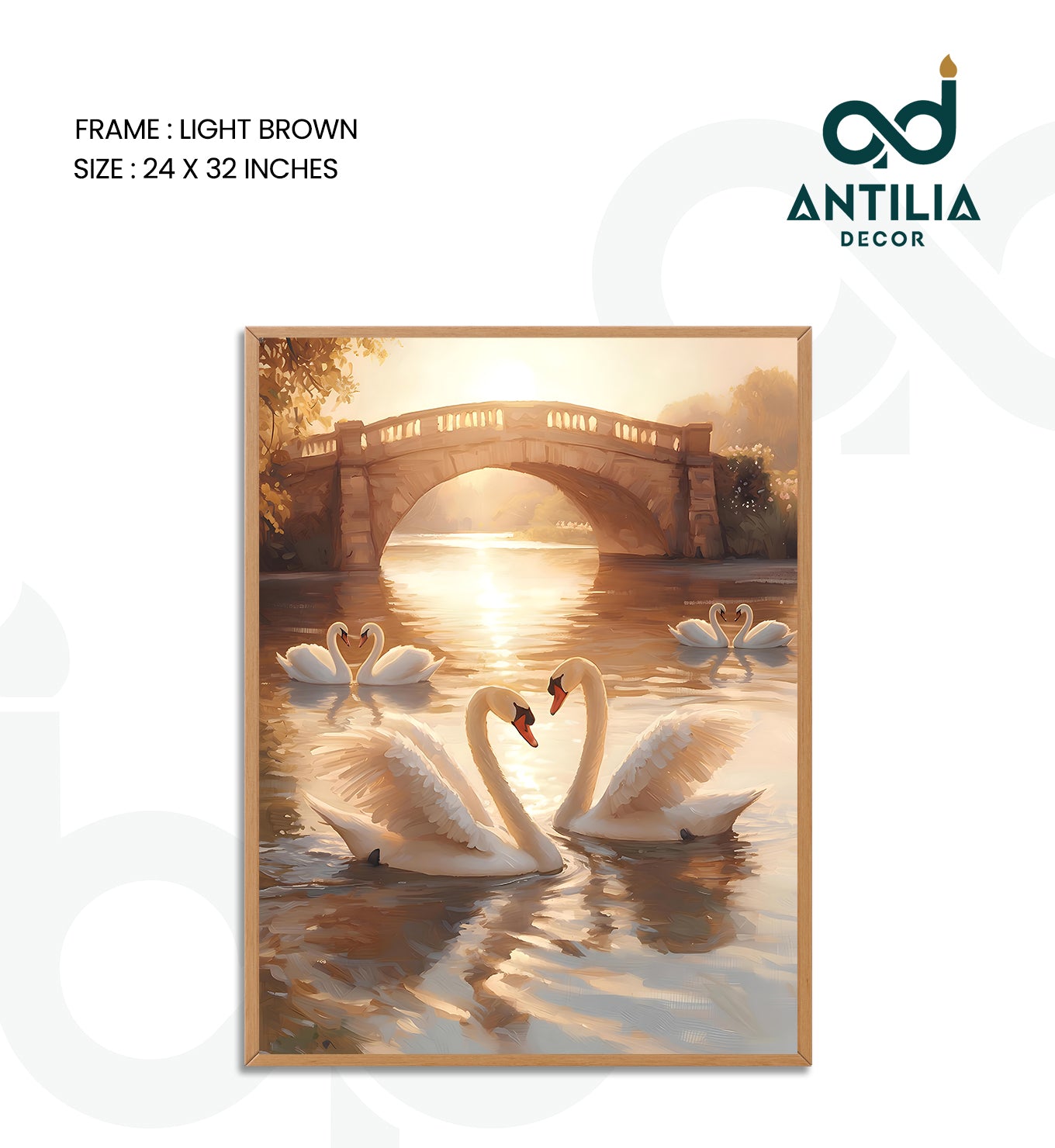 Swans- Arch of Grace