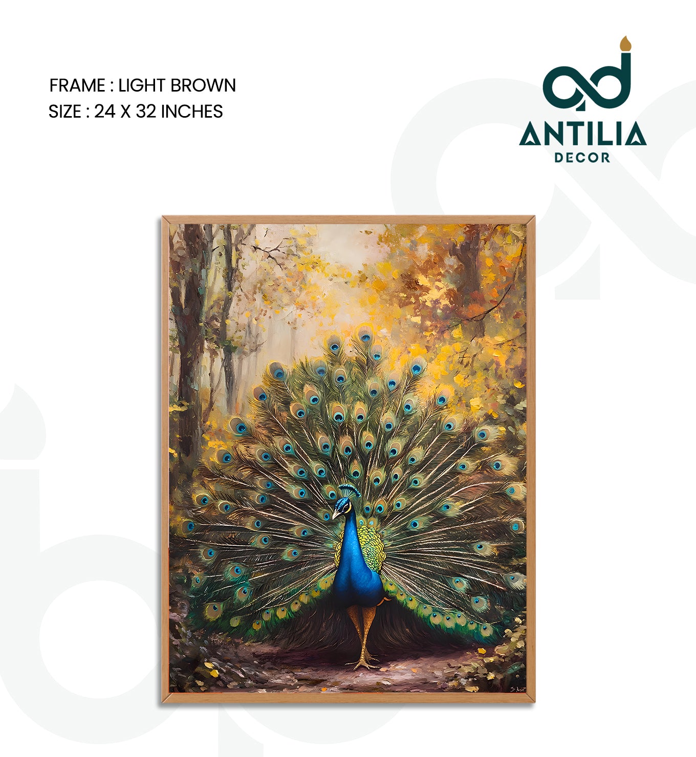 Peacock- Radiant Display