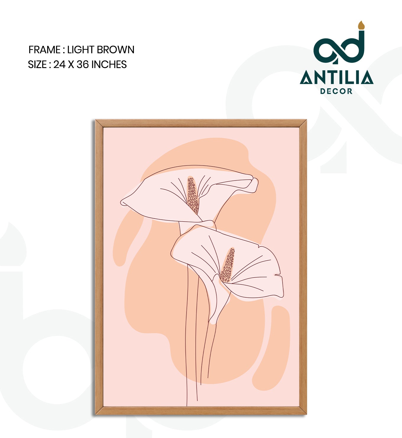 Blushing Calla