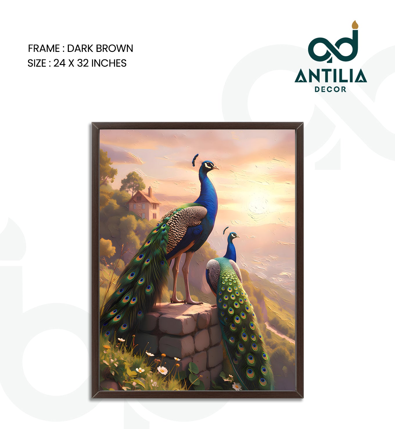 Peacock- Palace of the Sun