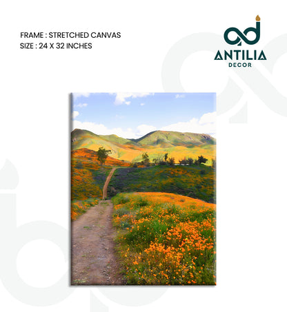 California Superbloom