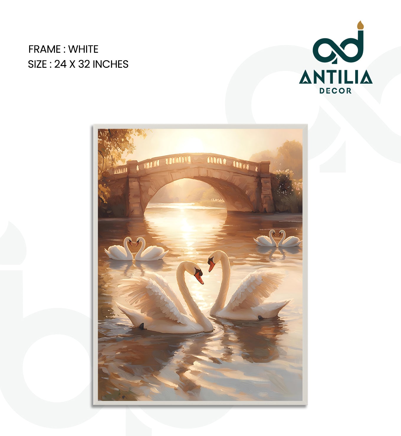 Swans- Arch of Grace